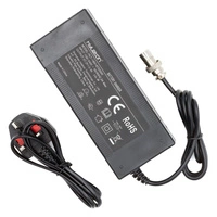 Snabbladdare Nami Klima 2A 5A