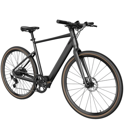Fiido C21 Elcykel - 250W effekt | 5,8Ah batteri | 15,5 mph hastighet | 62mi räckvidd