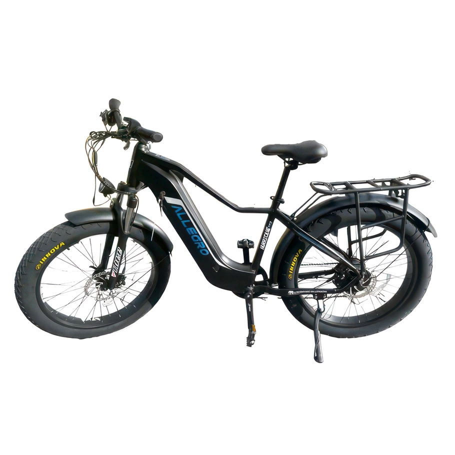 Allegro Huricane Ebike 750W 48V 20Ah hydraulisk broms lång räckvidd elektrisk cykel