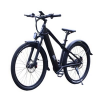 GIN X Hybrid Electric Bike | Urban Performance | 250W (500W Peak) Power | 30mph Speed | 12.8Ah Battery | 75mi Range | 27.5