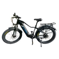 Allegro Huricane Ebike 750W 48V 20Ah hydraulisk broms lång räckvidd elektrisk cykel