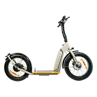 Element Bondi Electric Elektrisk skoter | Urban Performance | 500W (800W Peak) Power | 22mph Speed | 14Ah Battery | 30mi Range | 20-Inch Design | Premium Urban Transport