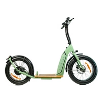 Element Bondi Electric Elektrisk skoter | Urban Performance | 500W (800W Peak) Power | 22mph Speed | 14Ah Battery | 30mi Range | 20-Inch Design | Premium Urban Transport
