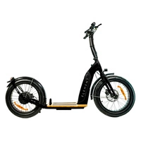 Element Bondi Electric Elektrisk skoter | Urban Performance | 500W (800W Peak) Power | 22mph Speed | 14Ah Battery | 30mi Range | 20-Inch Design | Premium Urban Transport