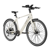 Heybike EC1 Electric Bike | Urban pendlingslösning | 250W (350W Peak) Power | 15.5mph Speed | 10Ah Battery | 62mi Range | High Frame Design | Modern City Transport